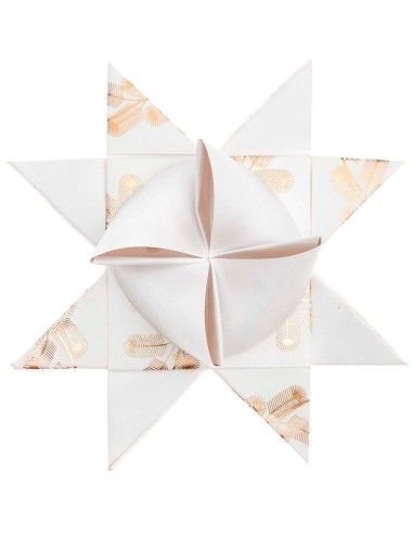 Kit de fabrication 10 étoiles de Fröbel blanches et dorées - Rico Design