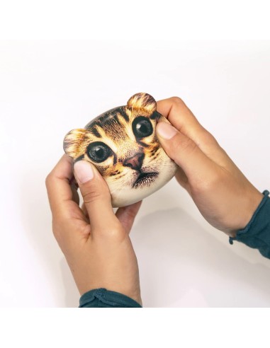 Balle anti-stress chat- Kikkerland