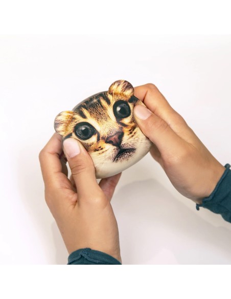 Balle anti-stress chat- Kikkerland