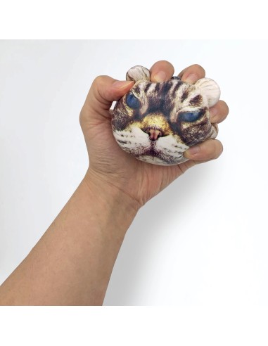 Balle anti-stress chat- Kikkerland