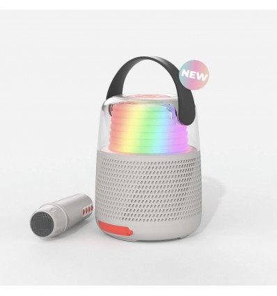 Enceinte et Karaoké Grise - Mobility On Board