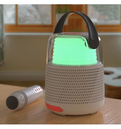 Enceinte et Karaoké Grise - Mobility On Board