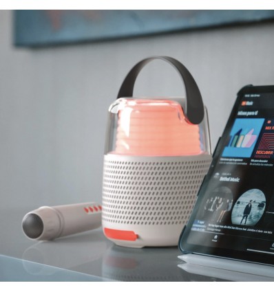 Enceinte et Karaoké Grise - Mobility On Board