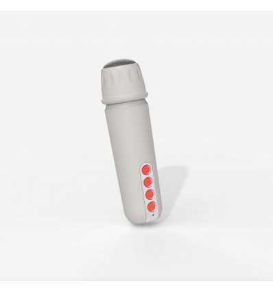 Enceinte et Karaoké Grise - Mobility On Board