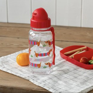 Petite gourde Teckel 500ml - Rex