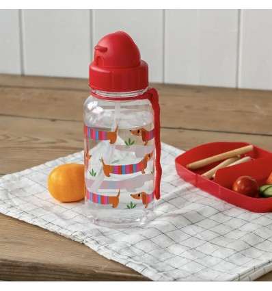 Petite gourde Teckel 500ml - Rex
