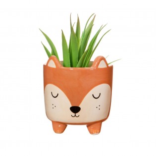 Mini pot pour plante renard - Sass & Belle 2