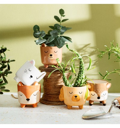 Mini pot pour plante cerf - Sass & Belle