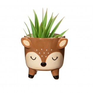 Mini pot pour plante cerf - Sass & Belle 2
