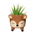 Mini pot pour plante cerf - Sass & Belle