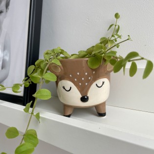 Mini pot pour plante cerf - Sass & Belle