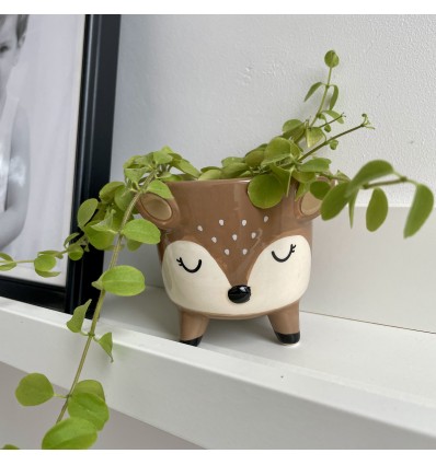 Mini pot pour plante cerf - Sass & Belle