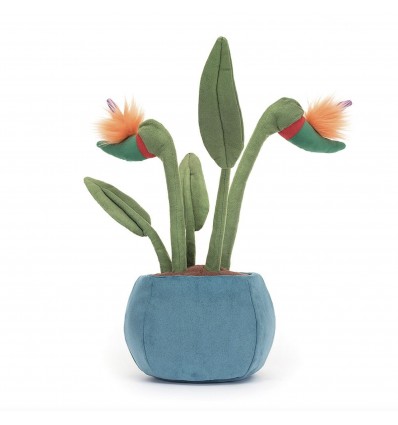 Peluche Amuseable oiseau de paradis - Jellycat