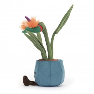 Peluche Amuseable oiseau de paradis - Jellycat 2