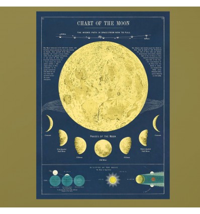 Affiche phases de la Lune - Cavallini & Co