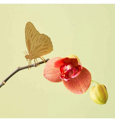 Déco de plante Papillon laiton