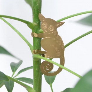 Déco de plante Bushbaby laiton 2