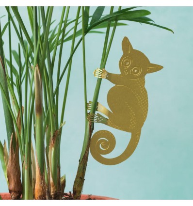 Déco de plante Bushbaby laiton