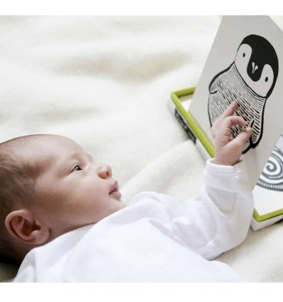 Cartes collection "Black and white" - Wee Gallery