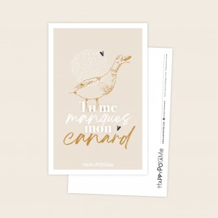 Carte Tu me manques mon canard - Happypotame