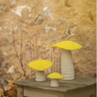 Champignon Plat en feutre, Fleur de soufre - Muskhane