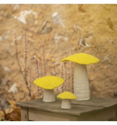 Champignon Plat en feutre, Fleur de soufre - Muskhane