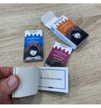 Les souvenirs de la jeunesse en 3 tomes - Frichtre