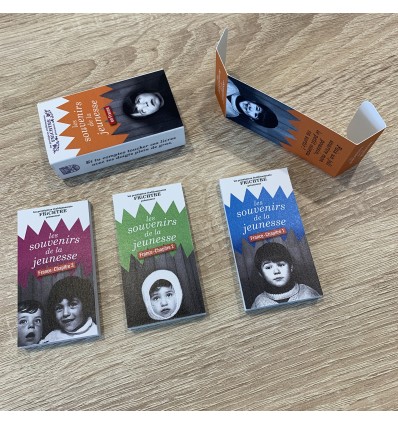 Les souvenirs de la jeunesse en 3 tomes - Frichtre