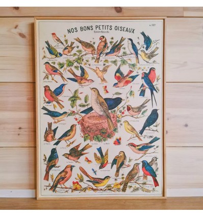 Affiche Oiseaux rétro vintage - Cavallini & Co