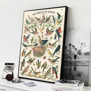 Affiche Oiseaux rétro vintage - Cavallini & Co 2