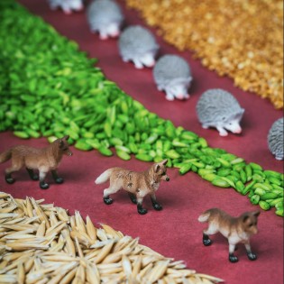 Bouteille sensorielle spy forêt - Petit Boum 2