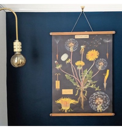 Affiche pédagogique Dandelion pissenlit - Cavallini & Co