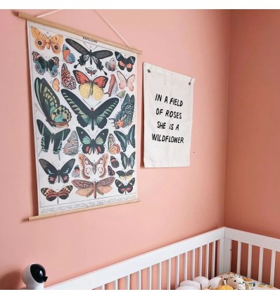 Affiche Papillons - Cavallini & Co