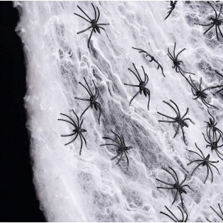 Grande toile d'araignée 2