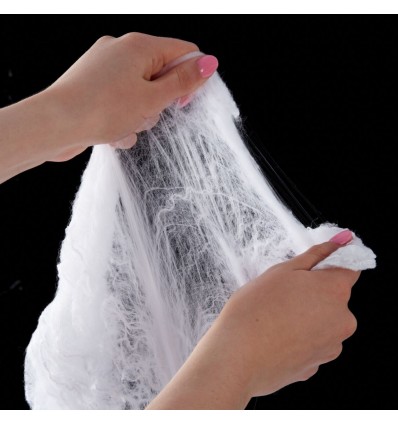 Grande toile d'araignée