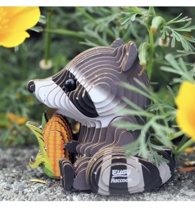 Eugy puzzle Raton laveur 3D en carton