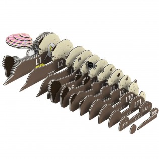 Eugy puzzle Loutre 3D en carton 2