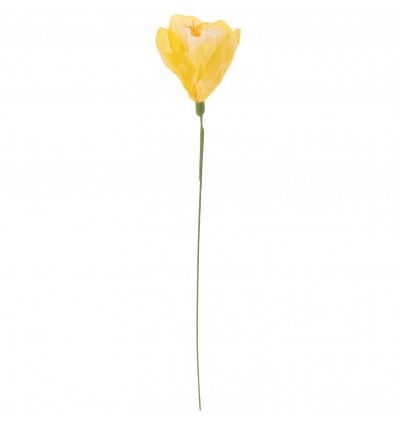 Fleur en papier Narcisse Jaune/blanc - Rico Design