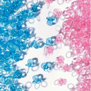 Totoche transparente 90's 2