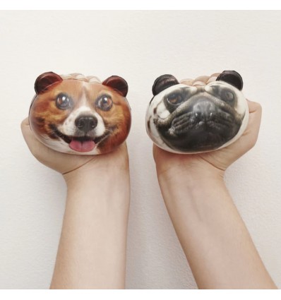 Balle anti-stress Chien - Kikkerland