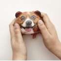Balle anti-stress Chien - Kikkerland