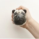 Balle anti-stress Chien - Kikkerland