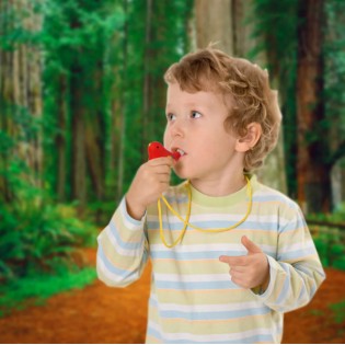 Sifflet à eau oiseau - Kikkerland 2