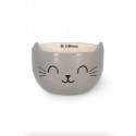 Bol Chat - Legami