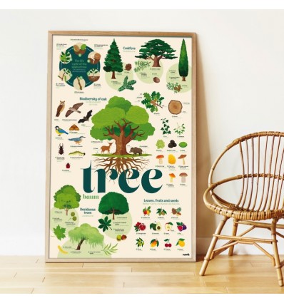 Poster & stickers Arbres - Poppik