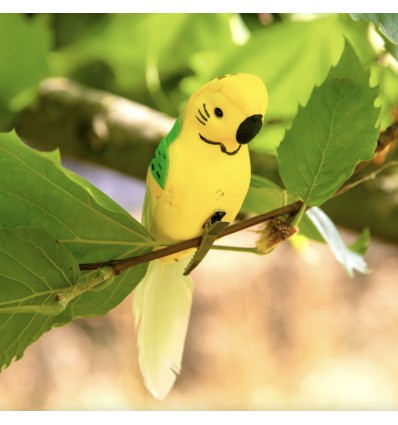 Oiseau tropical à cliper - Talking Tables