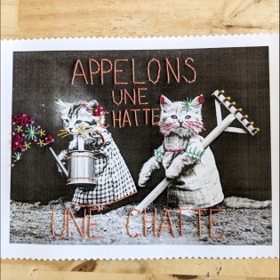 Kit broderie sur papier "Appelons une chatte"
