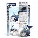 Eugy puzzle Baleine Boréale 3D en carton