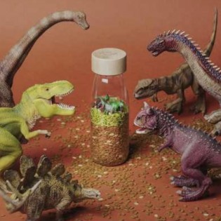 Bouteille sensorielle spy jurassic - Petit Boum 2