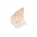 Petite pince coquillage - Coucou Suzette